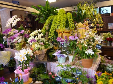 「花のウチダ」　（愛知県名古屋市港区）の花屋店舗写真2